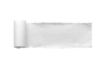 Obraz premium Horizontal ripped white paper strip