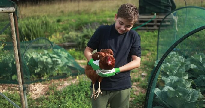 Happy teenager boy holding chicken inside vegetable home garden - Nature, young people and countryside lifestyle concept - UGC content