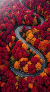 Vibrant Autumn Road Trip featuring an S-curve highway through dense red and orange fall foliage ideal for travel blogs and seasonal marketing.
