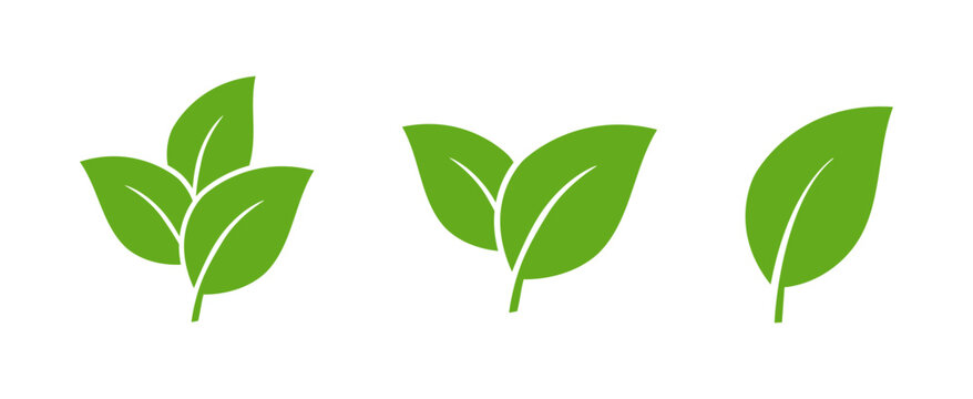 Green Leaf icon Set, Minimal Nature Plant leaves Logo Collection, Modern Symbol Set of Single one, two and three Fresh Organic Leaves Vector isolated on Transparent Png White background