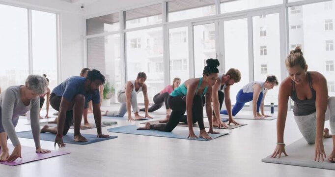 Stretching, yoga and instructor with people in class for holistic health, flexibility or workout. Pilates, exercise and healing with group of friends in studio for breathing, zen and wellness balance