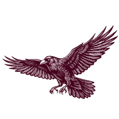 Obraz premium Flying eagle with spread wings and detailed feathers, vintage engraved illustration, halloween illustration
