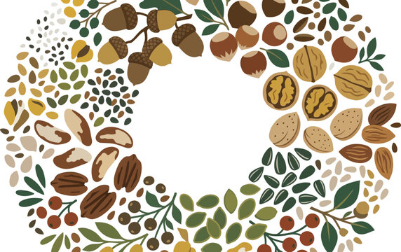 Assorted Nuts and Seeds arranged in a circular pattern with leaves and berries vector illustration