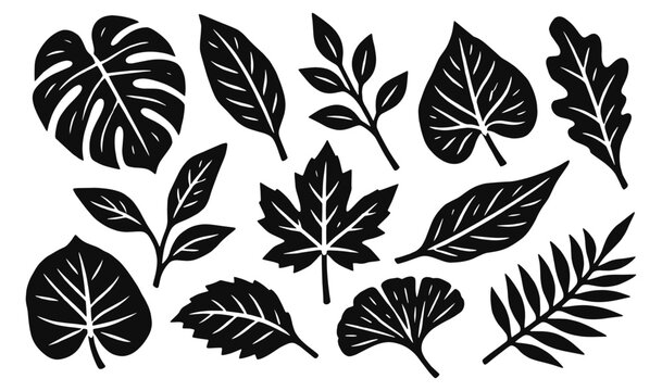 Botanical leaf linocut icon set. Monstera, oak, maple, ginkgo, fern and leafy sprigs. Hand drawn vector illustration in vintage woodcut print style.