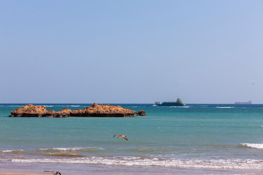 A seagull flies over the sea as a work boat passes rocky outcrops, Obock Region, Obock, Djibouti