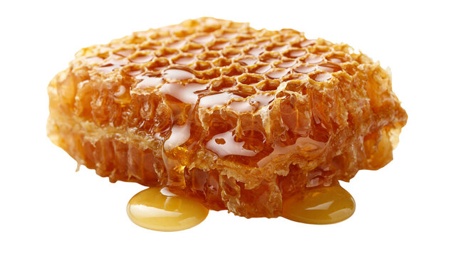 Fresh golden honeycomb block with dripping liquid honey