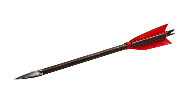 Traditional wooden archery arrow with sharp metal tip and bright red fletching