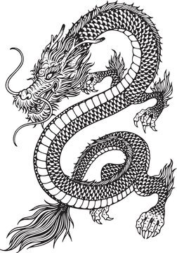 Hand drawn vintage traditional Chinese dragon, Qing Long, four symbols sketch isolated line art illustration for tattoo design, decorative clip art