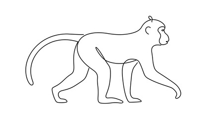 Fototapeta premium Monkey walking on white background.