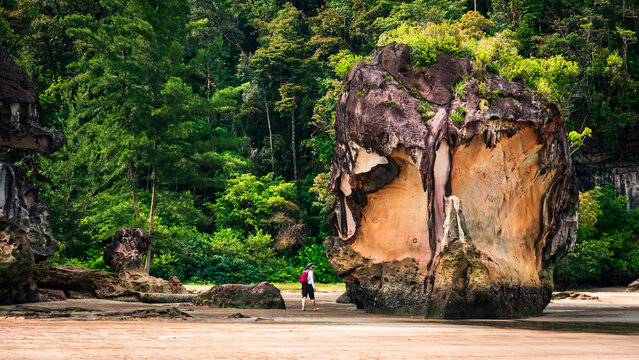 Bako National Park, Kuching, Sarawak, Malaysia