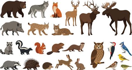Obraz premium Woodland Forest Animals Collection in Flat Vector Style for Children's Designs