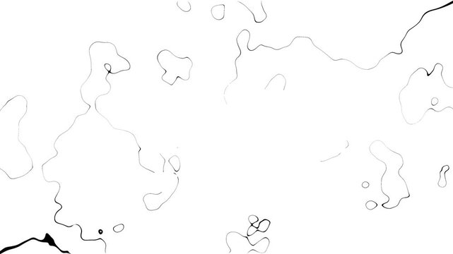Wavy lines animation shows abstract fluid curves on white. Minimalist graphic design contours shift in wavy lines animation. Artistic background visual depth forms wavy lines.