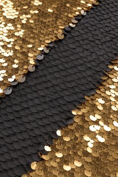 Gold sequins with a diagonal stripe of matte black discs
