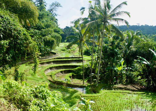 Recorriendo la isla de Bali