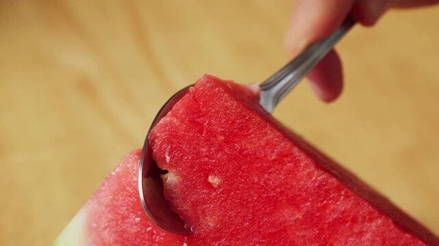 Scooping fresh watermelon flesh from the rind with a spoon