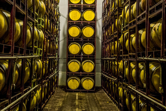 Vineyards and wineries in Mendoza Argentina. Wine production