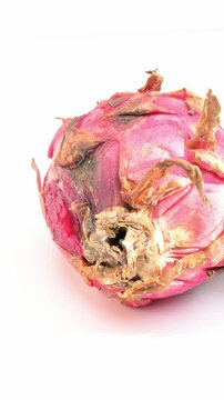Three overripe and rotting pitayas on plain white background for side shifting view