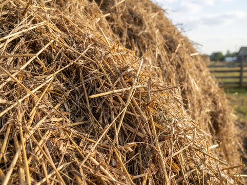 Close up of a large dry haystack in the countryside farm field with warm golden sunlight