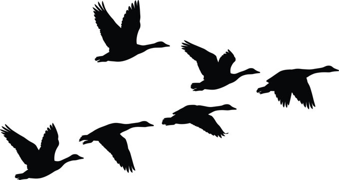 Collection of six flying goose silhouettes in different wing positions for wildlife and nature themed designs