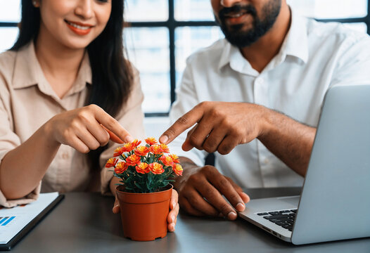 Diverse coworkers examining orange flowering plant on office desk with laptop in sunny modern workspace environment