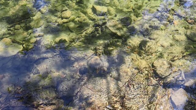 Video of clear mountain stream. Water running over stones on bottom. Natural background. Top down view.
