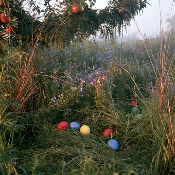 Christmas meadow with apple tree and colorful garlands