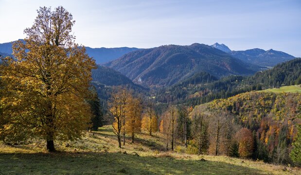 Autumn mountain landscape, foothills of the Alps, Upper Bavaria, Bavaria, Germany
