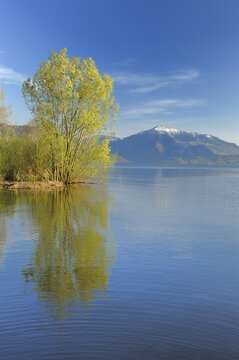 Evening view of Zugersee, Lake Zug, Mt. Rigi at back, Zug, Switzerland, Europe