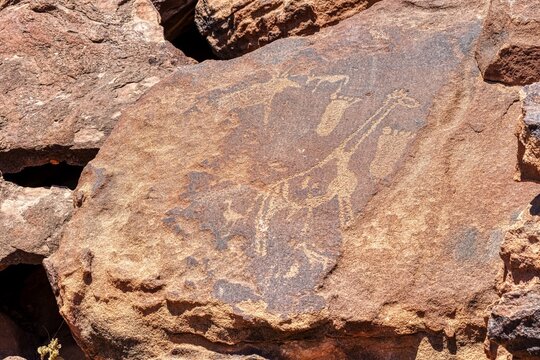 Rock engravings, prehistory, stone carvings, archaeology, Twyfelfontein, Namibia