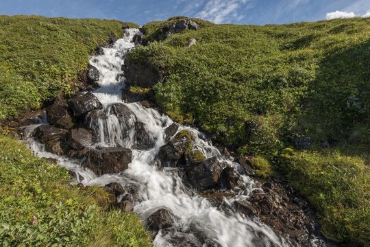 Stream, Borgarfj&ouml;r&eth;ur, Iceland