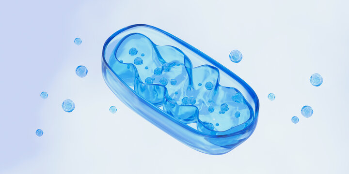 Mitochondrion illustration. The powerhouse of the cell. Photo stock