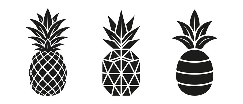 pineapple vector illustrations with geometric patterns and leafy tops for food design projects