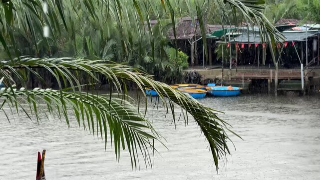 Hoi An, Da Nang, Vietnam - River Journey Through the Jungle on a Round Coconut Basket Boat, Brown River Waters, Traditional Vietnamese Hats, Overcast Rainy Weather, Authentic Round Boats, Exploring 