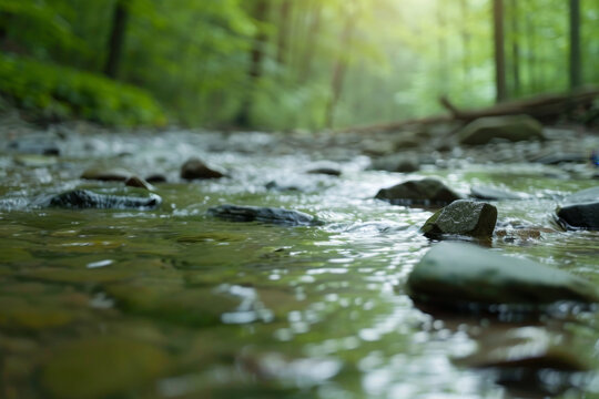 Serene forest landscape with babbling stream and rustling leaves creating a peaceful atmosphere perfect for relaxation and nature meditation.