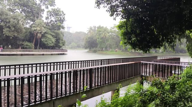 Wooden bridge over tranquil lake during rain shower surrounded by lush green tropical trees and foliage in public park with cinematic panning motion upwards.