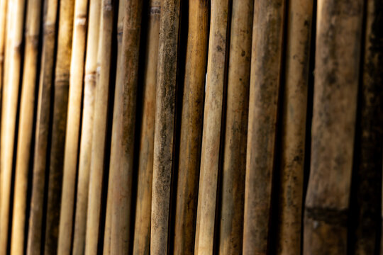 Vertical Bamboo Poles Creating Natural Rustic Repeating Background Texture