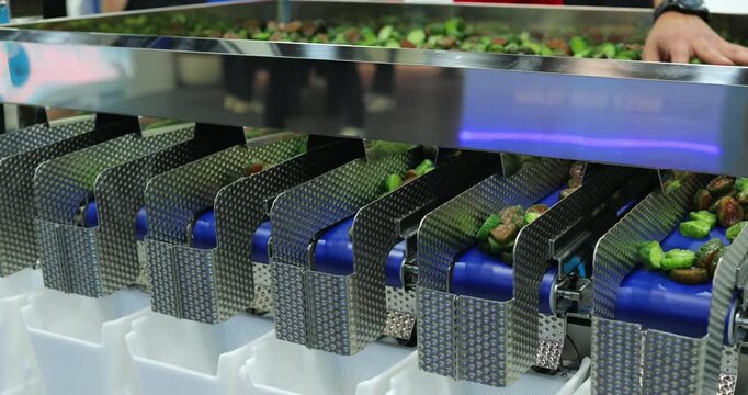 Automated distribution system separates sliced cucumber pieces across parallel conveyor lanes. Precision equipment directs portions for further food processing