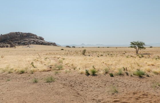 Desert Landscape  in Namib Naukluft desert, Namibia, Africa