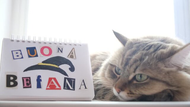 Cozy home moment: cute cat napping beside a child&rsquo;s handmade &ldquo;Buona Befana&rdquo; greeting. The letters are cut from magazines and carefully glued onto the paper, giving the note a tender, handmade charm. 