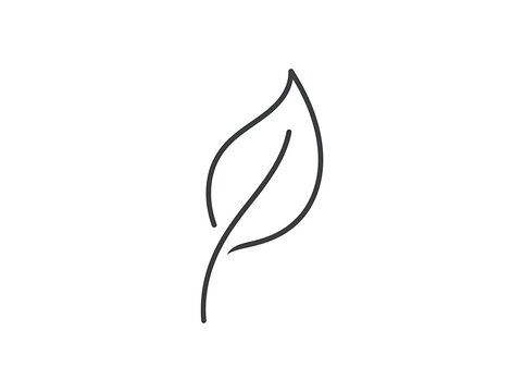 Simple leaf icon outline graphic