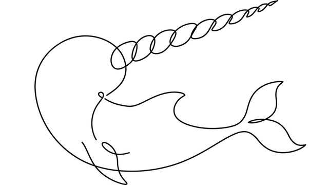 narwhal white background simple line art.