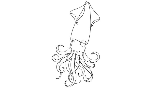 Squid white background.