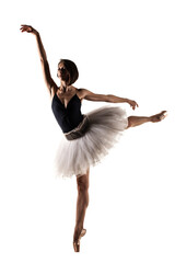 Female ballet dancer wearing tutu. Prima ballerina posing on white background © Nikola Spasenoski