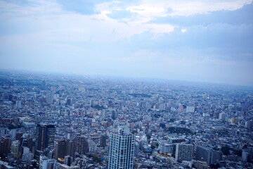 夕暮れ時の東京都内を見下ろす高層ビルからのパノラマビュー。どこまでも広がる無数の建物と都市の密度が、薄明かりの中で静かな雰囲気を醸し出している。 © BRUCE