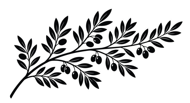 Vintage olive branch vector illustration, black silhouette of mediterranean tree branch with leaves and olives, botanical floral element for logo design