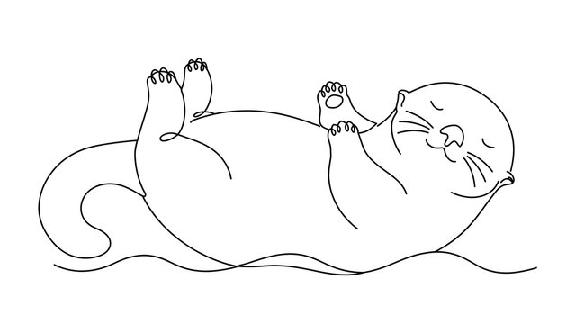 Seal on white background happy animal.