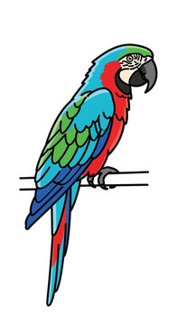 Vibrant Macaw Parrot Perched on Branch, Tropical Bird Illustration, Colorful Exotic Avian