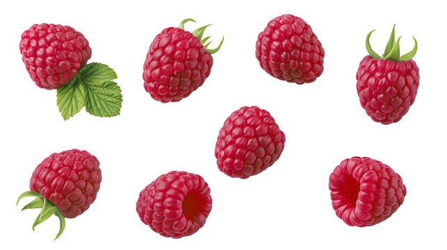 Isolated fresh red raspberries scattered with green leaves, healthy organic sweet summer fruits
