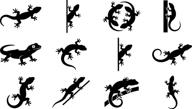 Collection of tropical gecko silhouettes, climbing lizards, and wildlife reptile vector illustration