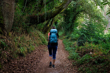 Obraz premium Woman Hiker with Backpack on Forest Path, Galicia, Spain